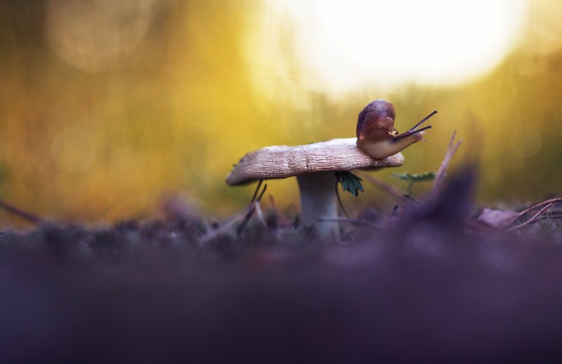 Вечерphoto preview