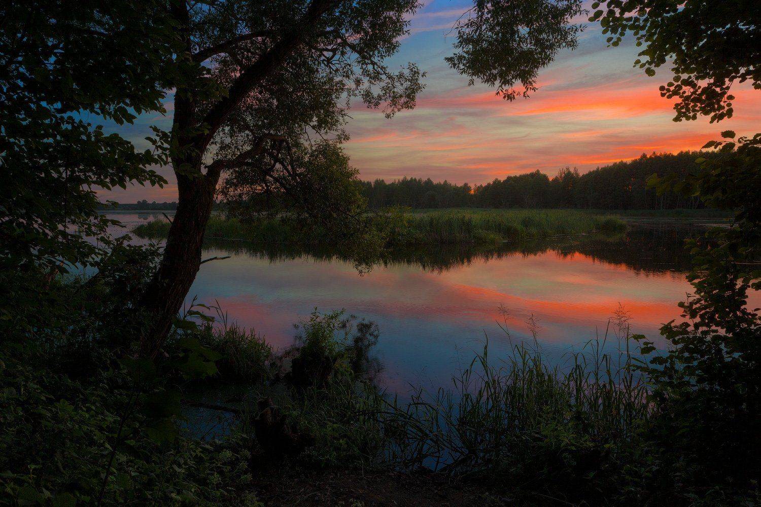 На берегу реки Клева после заката. Автор: Михаил Кушнер , Михаил Кушнер