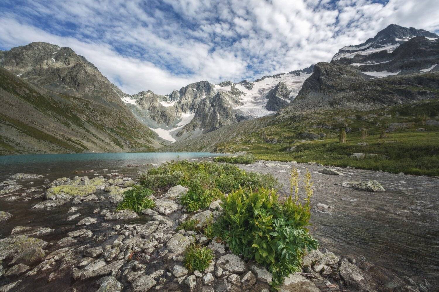 Богатый мир озера Верхнее Поперечное. Автор: Шевченко Николай горы, облака, природа, алтай, рассвет, река, путешествие, россия, озеро, Шевченко Николай
