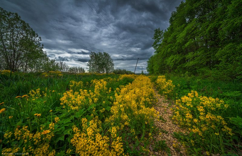 пейзаж, природа, путешествия, travel, wildlife, nature, landscape, canon, colours, тучи, clouds, dramatic sky, грозовое небо За 5 минут до ливняphoto preview