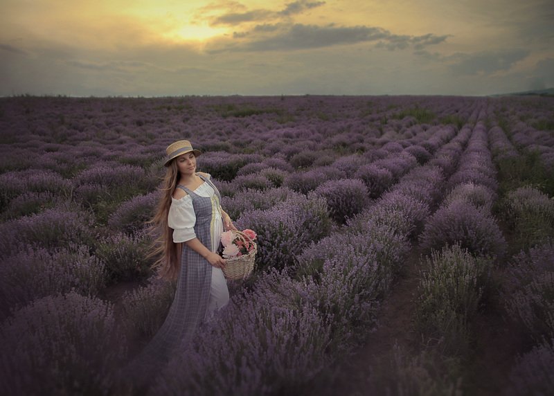 лаванда photo preview