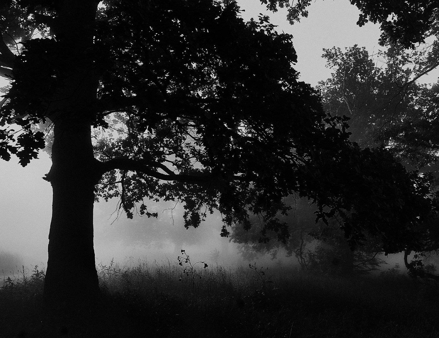 , Илья Мусатов