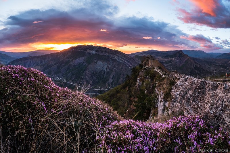 дагестан, гуниб, кавказ, россия, панорма, восход, природа, пейзаж, весна, горы, цветы, dagestan, gunib, caucasus, russia, panorama, sunrise, nature, landscape, spring, mountains, flowers Восход над аулом Гуниб 1photo preview