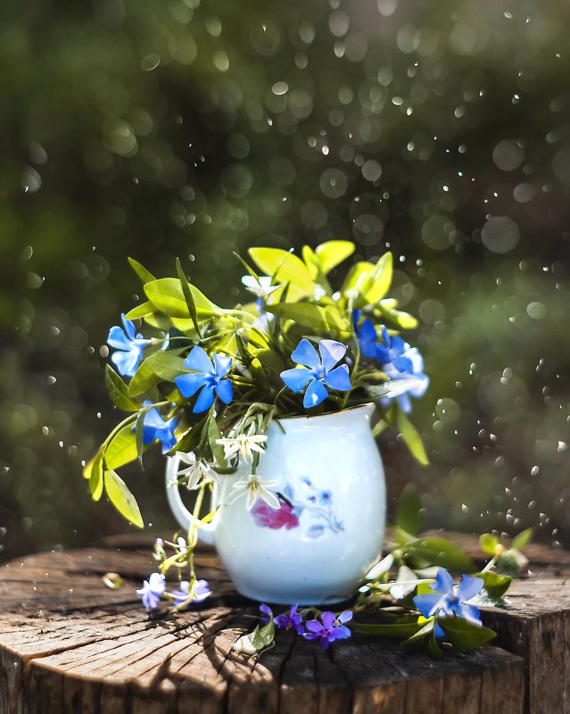 macro bokeh flowers amazing beautiful ***photo preview