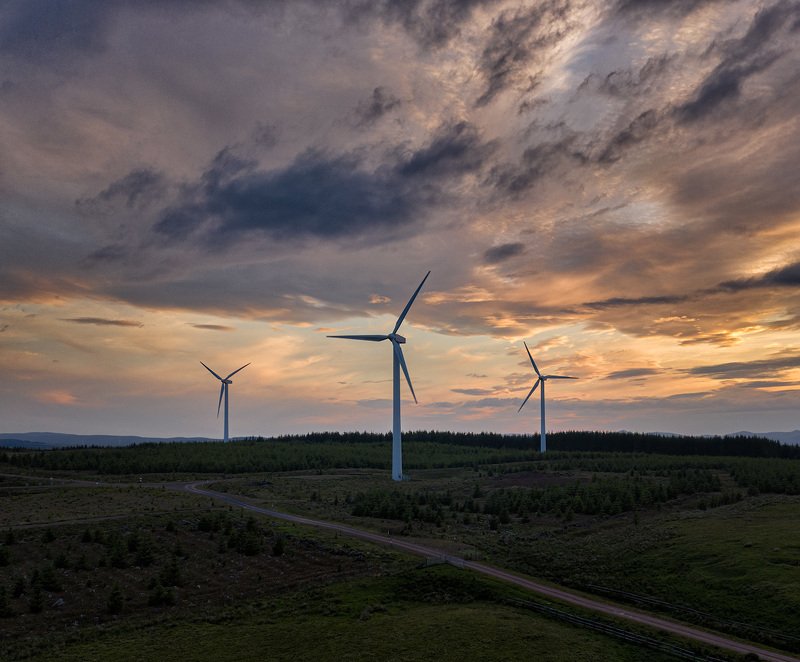 три богатыряphoto preview