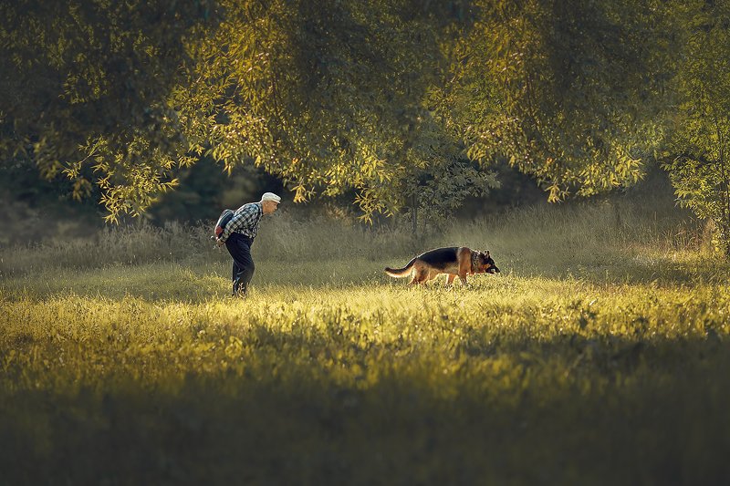 Два товарищаphoto preview