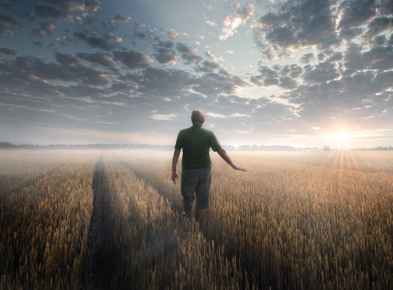 На рассветphoto preview