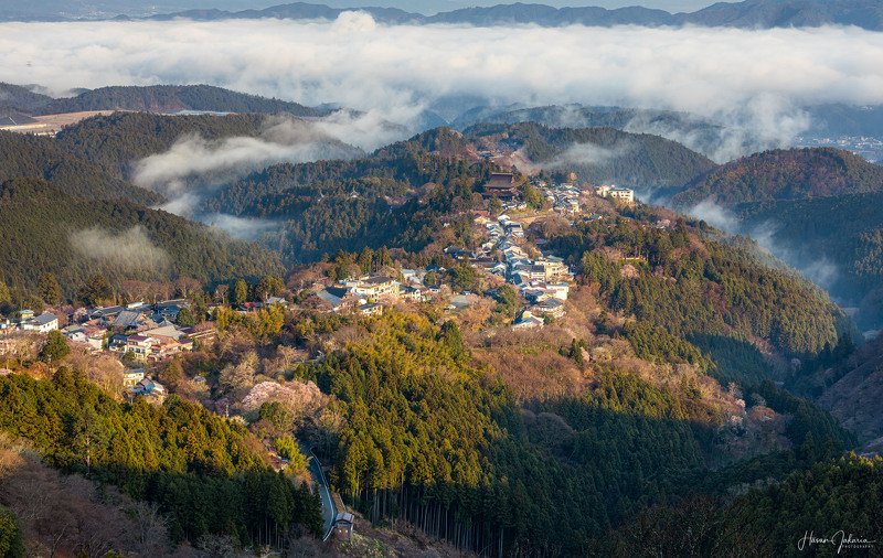 landscape japan nature sunrise  morning travel mountain nara prefecture low clouds foggy Morning Naturephoto preview