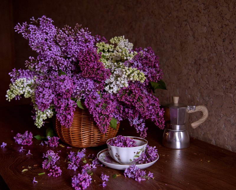 Сирень.photo preview