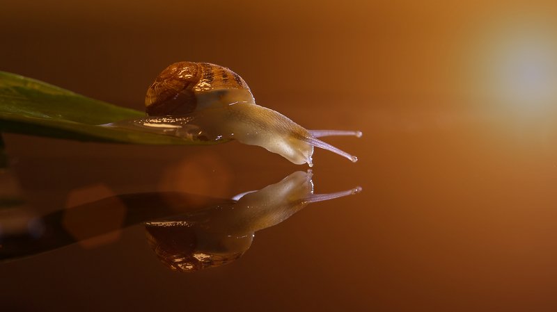 Жажда...photo preview