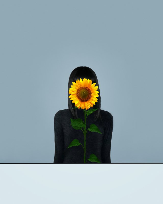 conceptualism fine art  conceptual  minimalism surreal existentialism  contemporary art  conceptual photography surreal photography sunflowerphoto preview