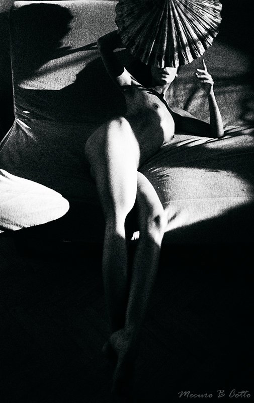 mecuro mecurobcotto cotto mecurocotto **photo preview