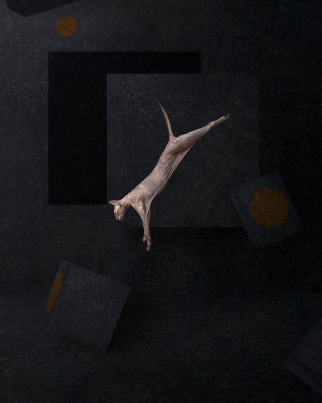 art, portrait, photomanipulation, photoshop, composing No problemphoto preview