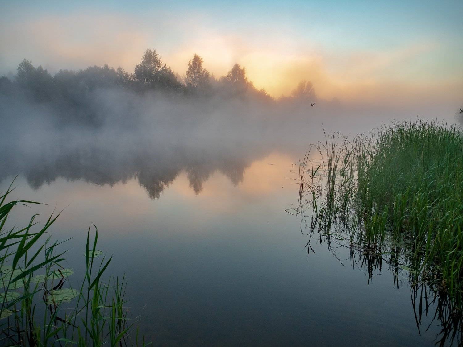 , Марина Брыдня