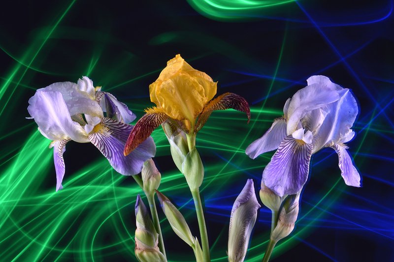 третий лишний Третий лишнийphoto preview