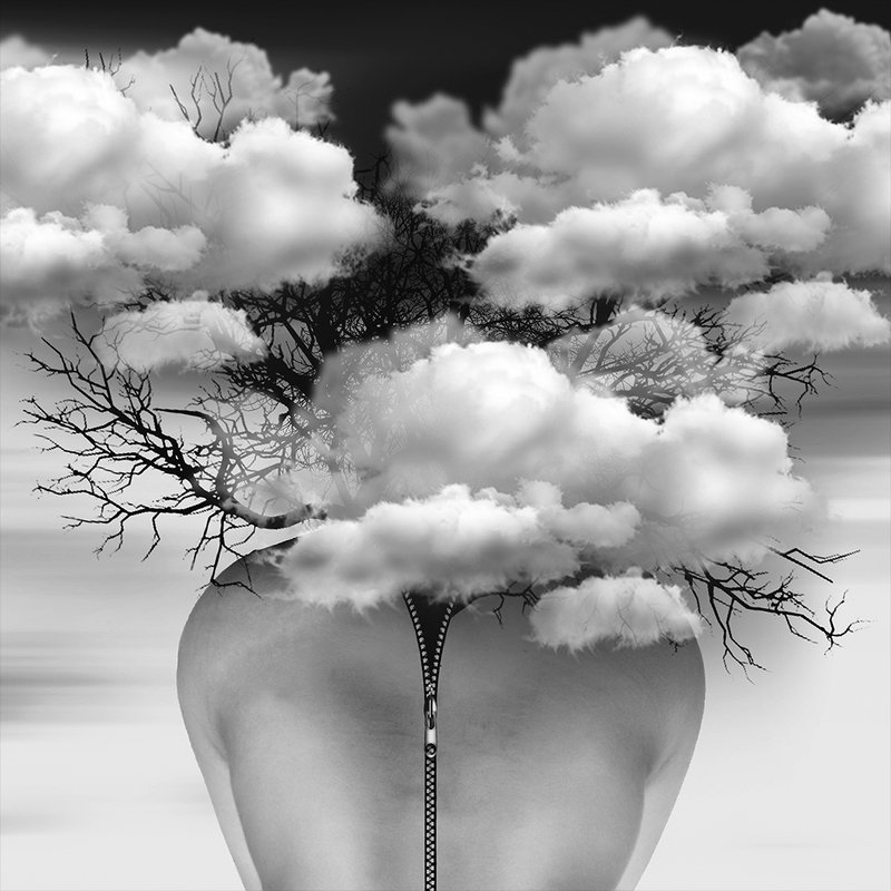 #35photo #barbadrahnama#surrealart#photoshop#ps_fantasy#photography#conceptual#fineart #instagram#art_digital #ir_photographer#ir_aks#canon#blackandwhite#bnw#surreal#art reincarnationphoto preview