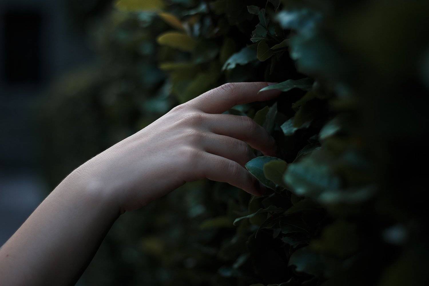 touch. Автор: Екатерина Аляпина , Екатерина Аляпина