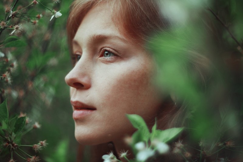 Wise Whispers In The Windphoto preview