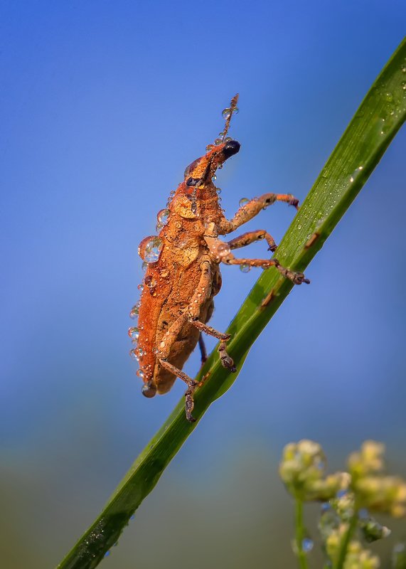 Вверх!photo preview