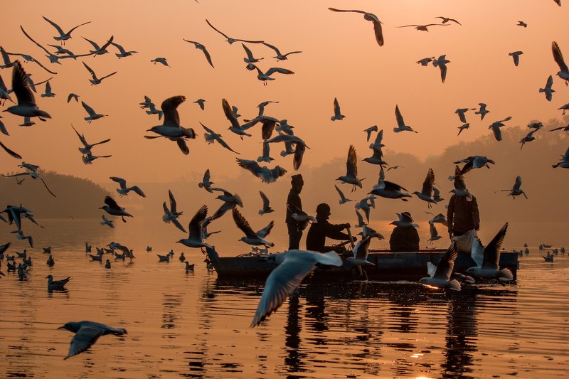 My 10 photos for full membershipphoto preview