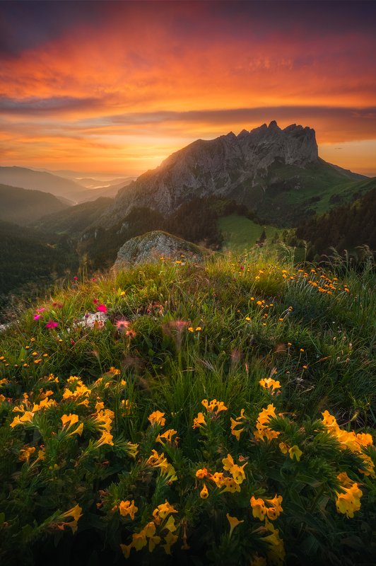 Адыгея, ч.2photo preview