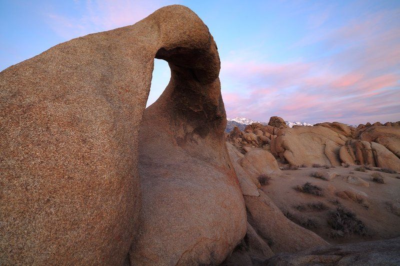 Пангеяphoto preview