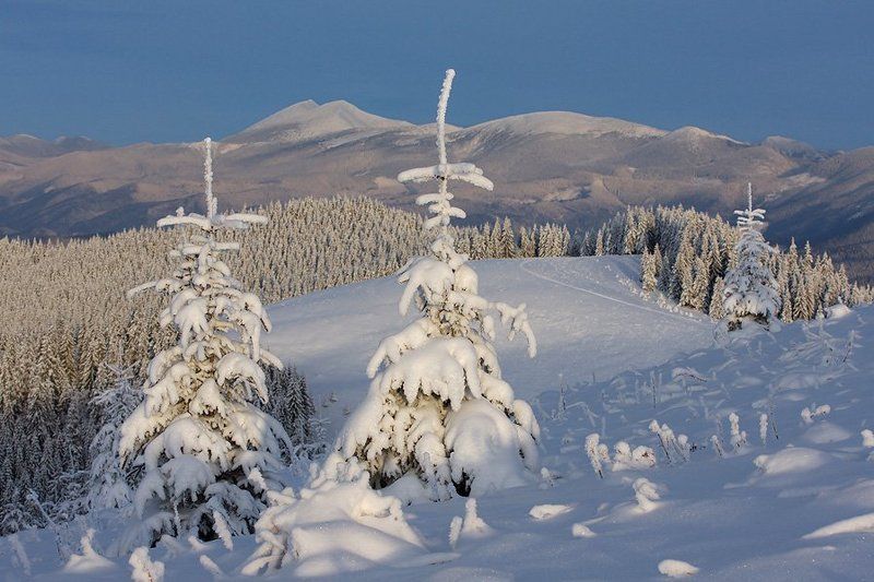 * фото превью