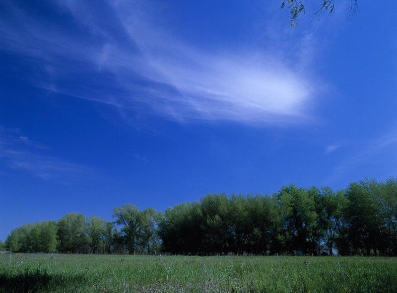 облака.небо.трава.деревья. Комета...photo preview