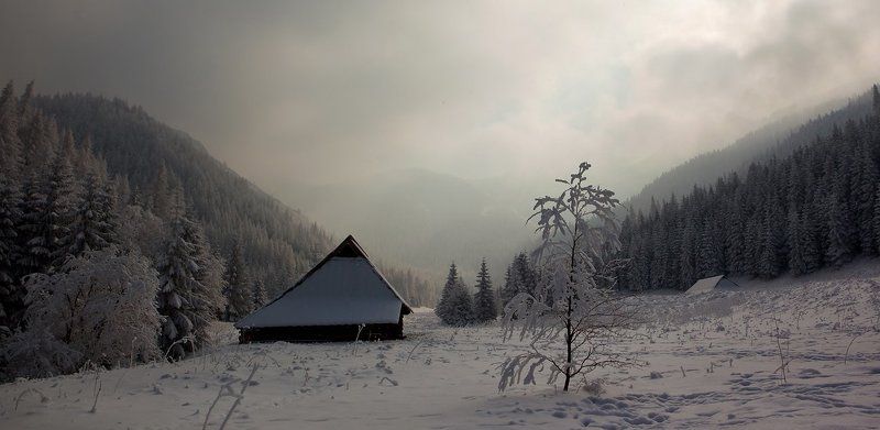 Когда зима почти иллюзия.photo preview