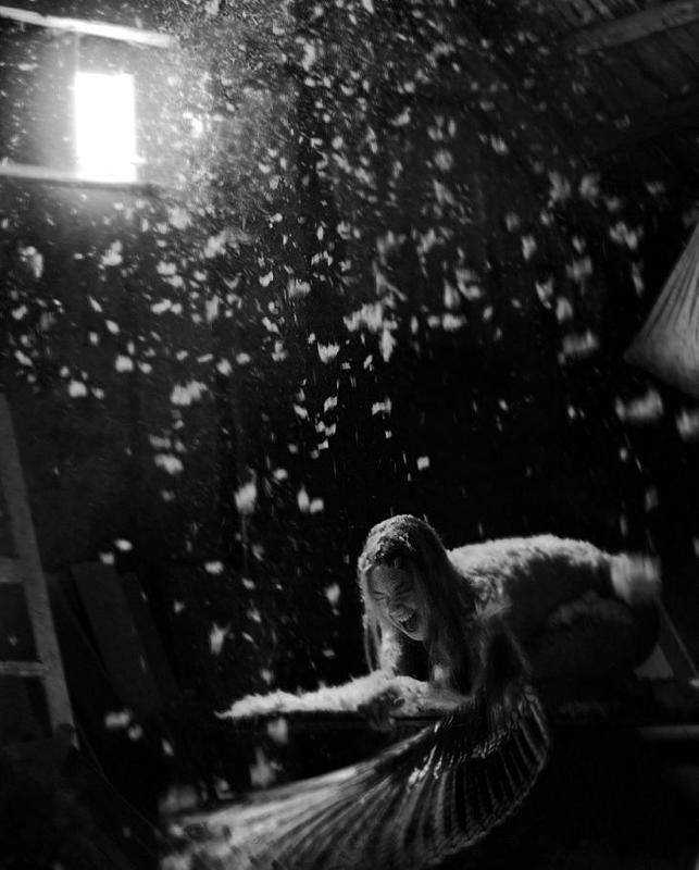 Превращениеphoto preview