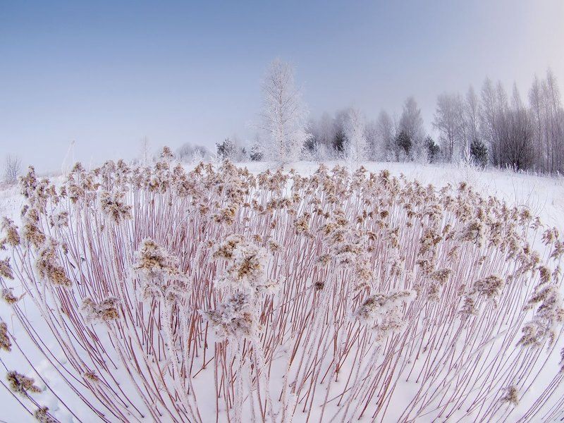 Вашутино ***photo preview