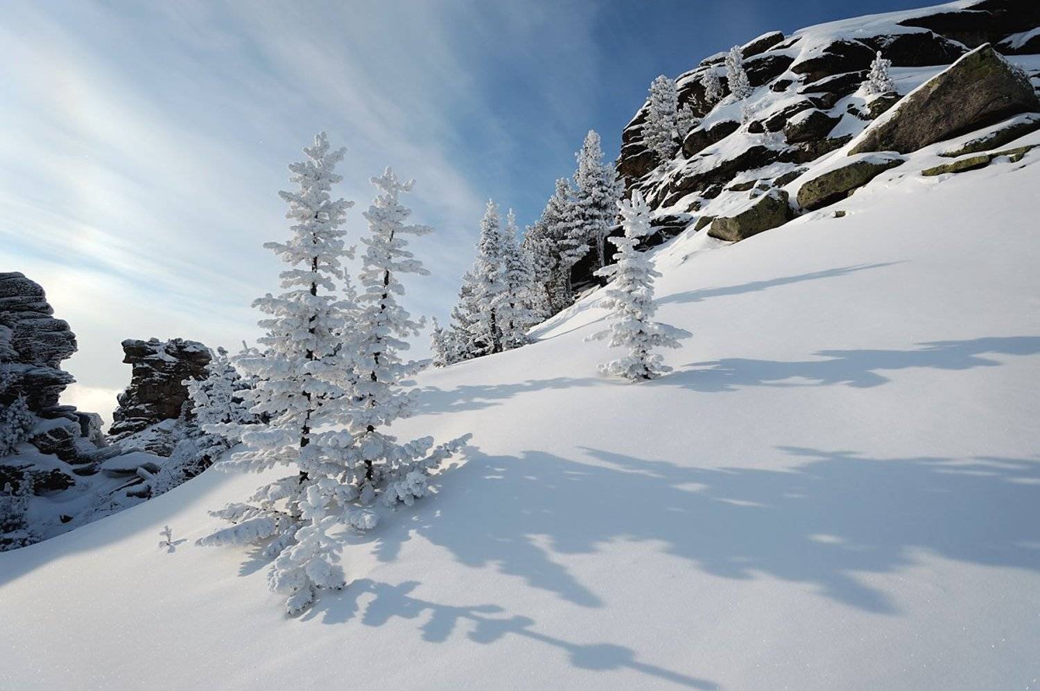 , Сергей Седов