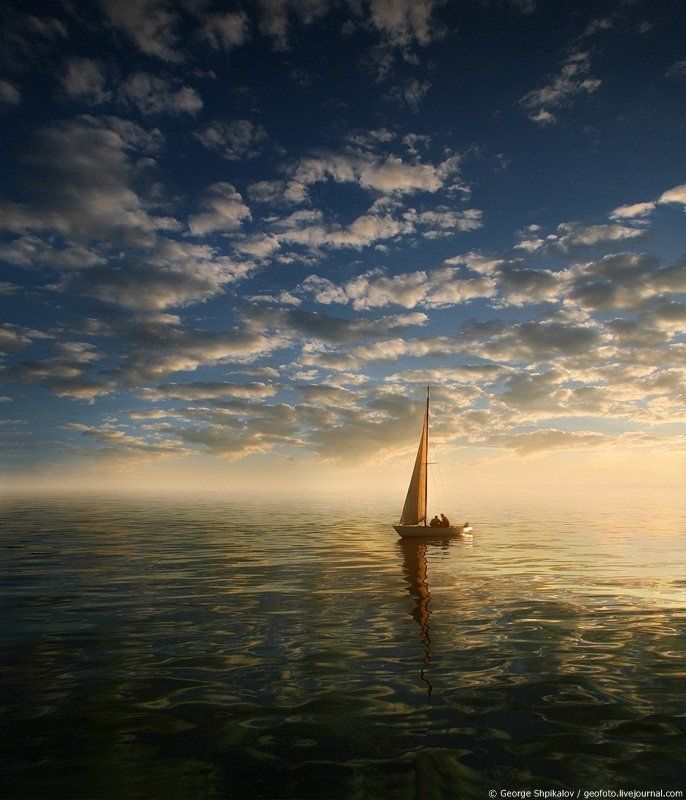 надергал из портфолиоphoto preview