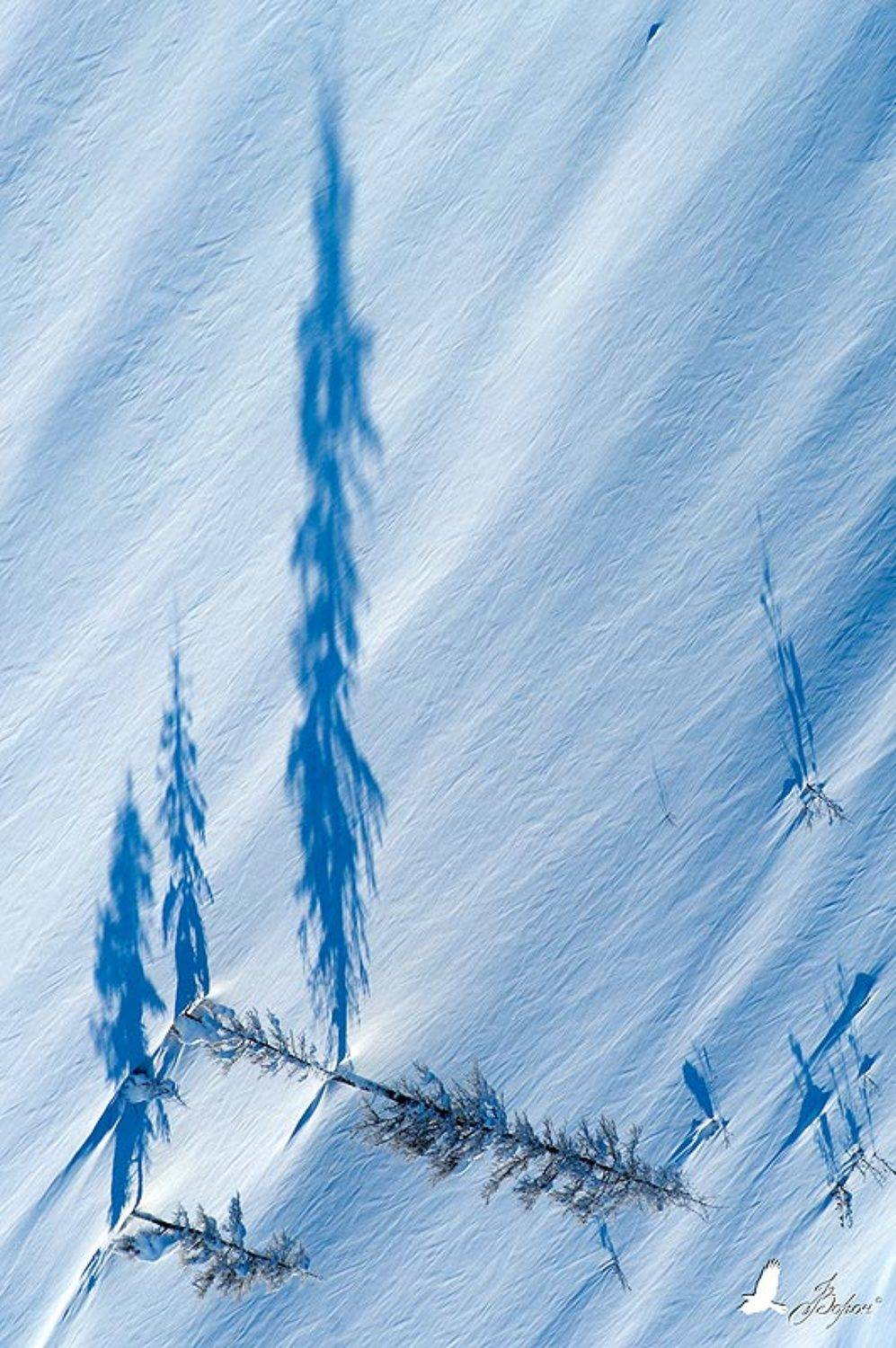 зима, весна, магадан, колыма, север, деревья, гора, склон, тень, часы, время, трасса, Ворон