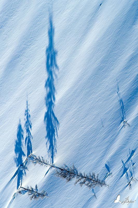 зима, весна, магадан, колыма, север, деревья, гора, склон, тень, часы, время, трасса Зимнее времяphoto preview