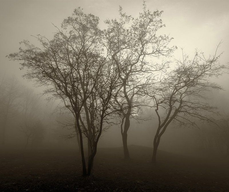 братьяphoto preview