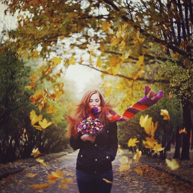 Autumn swirlphoto preview