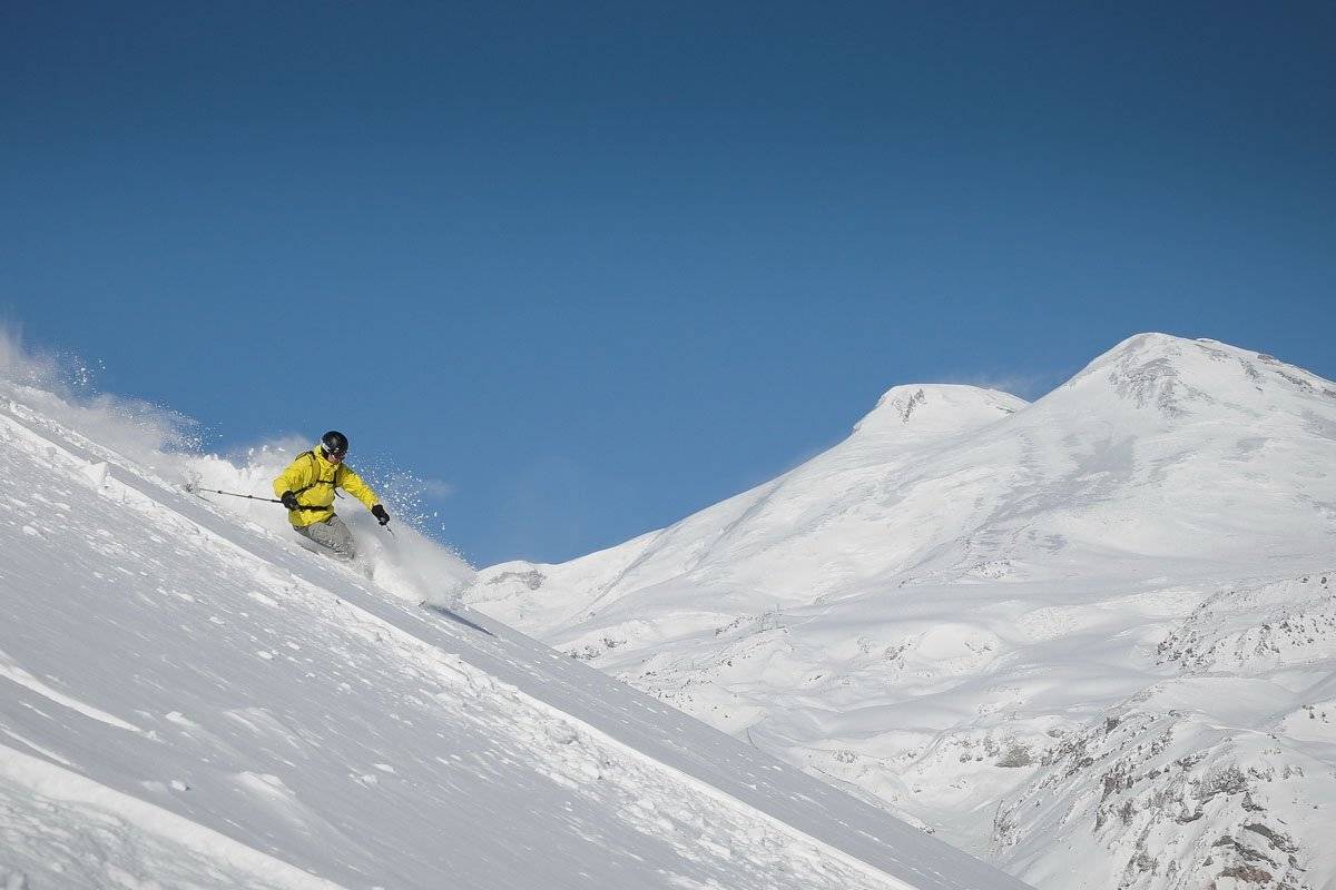 , максим куташев