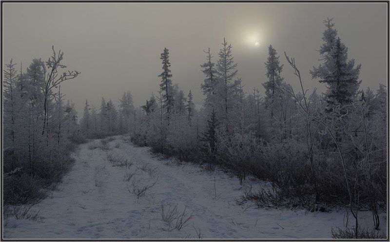 тайга, зима, якутия Мороз и солнцеphoto preview