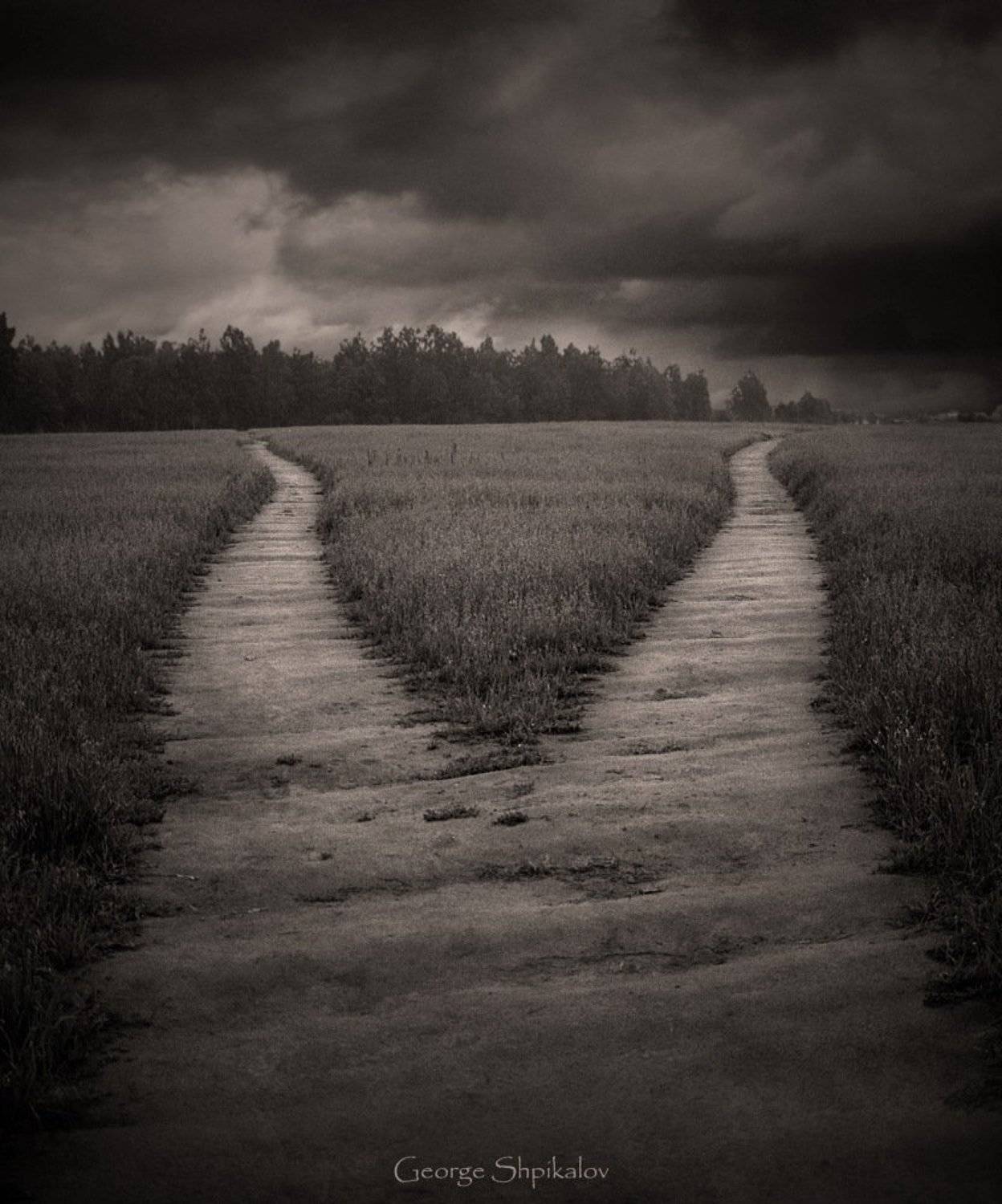 Распутье. Автор: George Shpikalov дорога, George Shpikalov