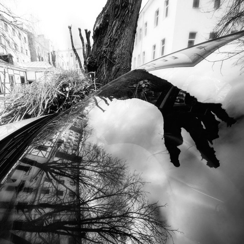 Собиратель хворостаphoto preview