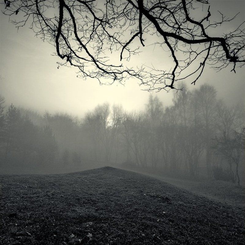 Курганчикphoto preview