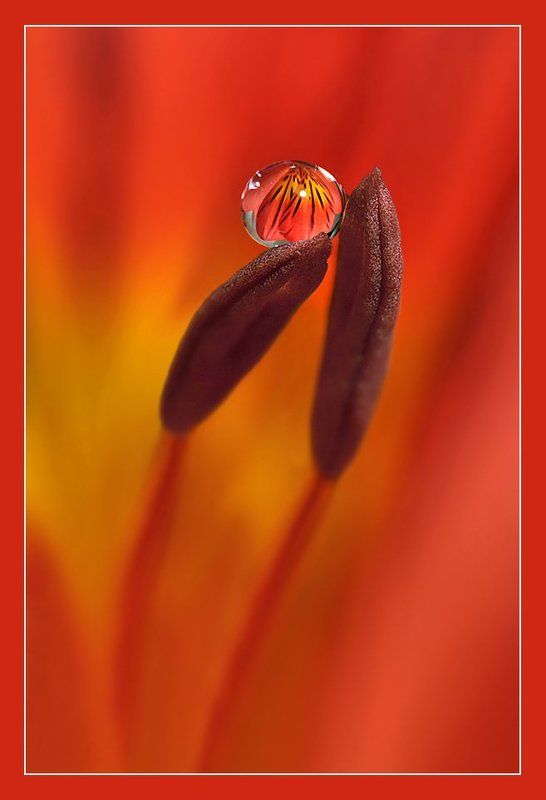 радуга РАДУГАphoto preview