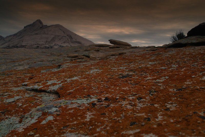 балхаш, , , путешествие, по, казахстану, , , урочище, , , гористая, местность, , , казахстанская, степь, , , горы, , , скалы, , , пески, , , саксаул, , , прибалхашье, , , заповедник, , , бектауата, , , сафари, , , фотосафари Тайные красоты Казахстанаphoto preview