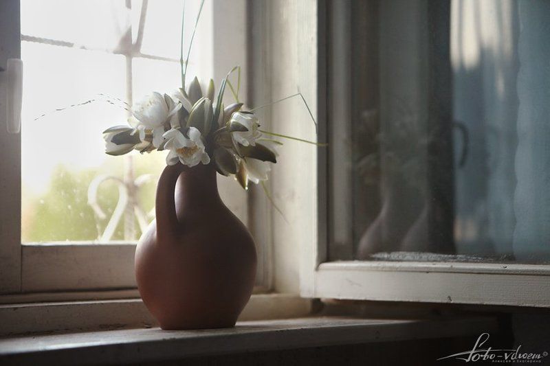 лилия водяная, кувшинка белая, фото вдвоем, foto-vdvoem милые дамы, с наступающим весенним праздником!!!!!!!photo preview