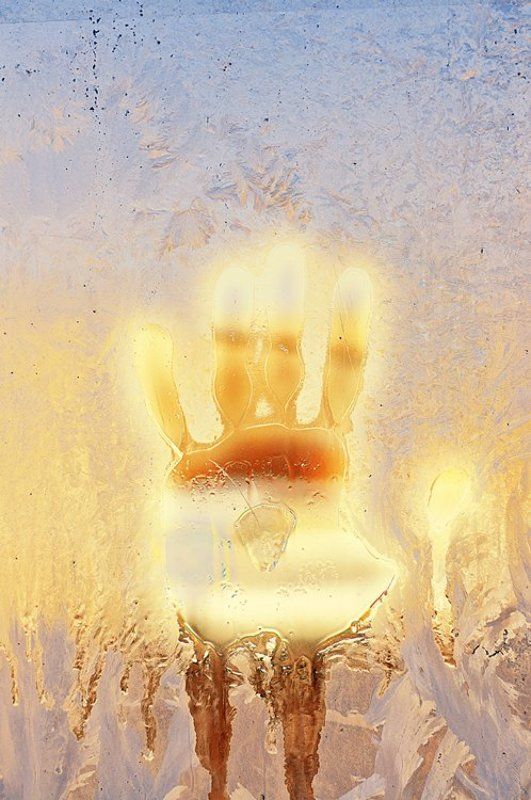 Десница весныphoto preview