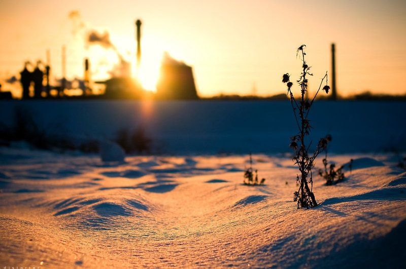закат, зима, природа, снег The Endphoto preview