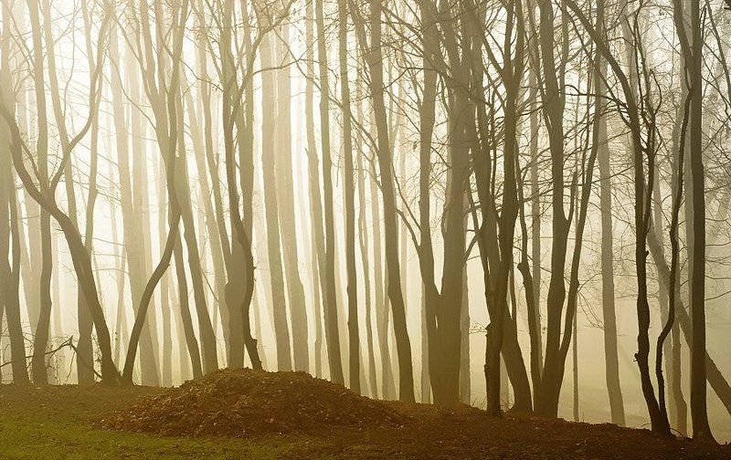 На строюphoto preview