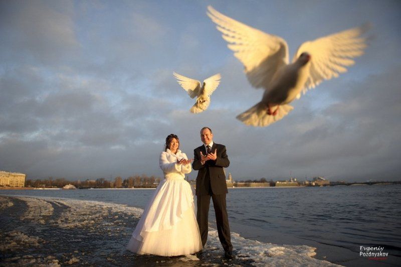 свадьба, свадебный фотограф, фотограф на свадьбу, евгений поздняков, http://fotoevgeniy.ru/ ***photo preview