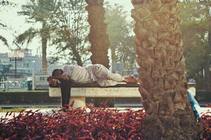 дневной сонphoto preview